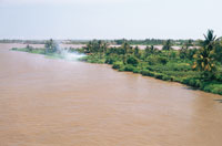 A lo largo de su recorrido y debido a las fluctuaciones del nivel de las aguas, el ro rebasa su cuenca e inunda los terrenos aledaos. La fauna y la flora de las riberas se han adaptado a las condiciones particulares de este ambiente efmero. En la desem