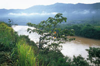 Estrecho del valle en Honda.