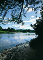 Ro Magdalena en las proximidades de Neiva.