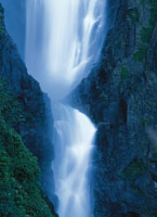 La gran riqueza hdrica, unida a la radiacin solar directa sobre la franja del ecuador, le confiere a los ecosistemas tropicales un ambiente propicio para el desarrollo de una magnfica biodiversidad.