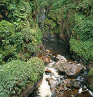 La elevada capacidad de almacenamiento y regulacin del agua que produce la alta montaa de la cuenca del Magdalena, da origen a algunos de los ms importantes ros del pas.