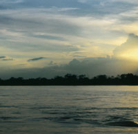 Al caer la noche sobre las aguas del Magdalena, la oscuridad cubre el maravilloso medio natural que prolifera gracias al generoso aporte del ro.