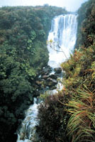 Salto del río Bedón en el Parque Nacional Natural Puracé, departamento del Cauca.