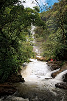 Las caídas de agua son lugares de descanso para quienes se alejan de la vida agitada de la ciudad. Cascada Juan Curí, departamento de Santander.