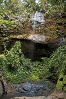Muchos de los raudales y caídas de agua están en lugares apartados y son prácticamente desconocidos para la mayoría de la gente. Cascada La Sierpe, Parque Nacional Natural Bahía Málaga, Valle del Cauca.