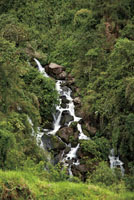 Las fuentes de agua, tanto subterráneas como de superficie, son un recurso limitado que debemos proteger. Quebrada Las Nereidas, Caldas.