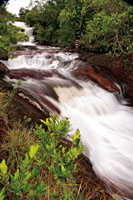 La velocidad que llevan las corrientes de agua depende de la pendiente del terreno por donde discurren. Caño Cristales en la Serranía de La Macarena.