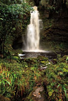 Donde las corrientes de agua se precipitan libremente sobre los abismos, se escenifica uno de los espectáculos más sobrecogedores de la naturaleza. Una de las cascadas de La Lindosa en el valle del río Suaza, Huila.