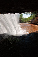 Durante la caída, la fuerza del agua que produce abrasión en las paredes de roca, las va haciendo cada vez más escarpadas, hasta configurar un precipicio con extraplomos y en ocasiones una caverna en su base. Caño Cristales, Meta. 