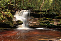 Roca con forma de la cabeza de serpiente frente a una pequeña cascada que tributa al río Apaporis, departamento del Vaupés.