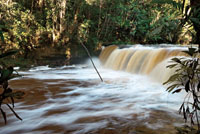 La altura, el caudal y la naturaleza que las rodea, determinan el valor escénico de las caídas de agua. La Chorrera, Amazonas.