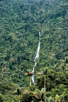 Caída en forma de cordón, Sierra Nevada de Santa Marta.