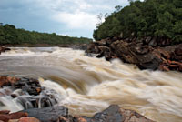 Raudal Alto del Río Inírida, Guainía.