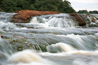 Los raudales representan obstáculos para los desplazamientos de algunos animales acuáticos.