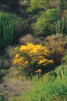 Zona rida en los alrededores de Santa Marta.