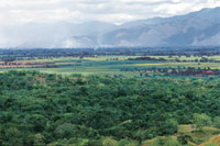 En primer plano, reserva forestal de la Estacin Biolgica El Vnculo, al fondo el valle del ro Cauca.