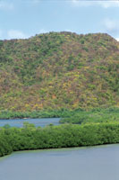 En el Parque Nacional Natural Tayrona los manglares contrastan con la vegetacin seca de las montaas.