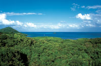 En los alrededores del Peak, la mayor elevacin de Providencia se encuentran los bosques secos mejor conservados de la isla.