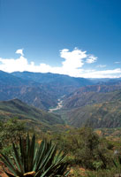 Los valles transversales de la cordillera andina son enclaves secos donde predomina la vegetacin xeroftica. Can del ro Chicamocha.