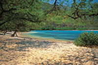Por la belleza de sus paisajes, algunas zonas del bosque seco, como la que rodea la baha de Chengue, son un importante recurso para el turismo ecolgico.