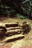 El bosque seco tropical se regener por completo en las reas costeras que haban sido ocupadas por los tayrona antes de la llegada de los espaoles.