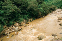 La deforestaci�n es la causa del aumento del caudal de los r�os en las �pocas de lluvia.