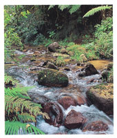 Ms de 30 ros importantes y 680 microcuencas aportan ms de 10.000 millones de metros cbicos de agua al ao.