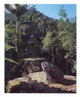 Las ciudades arqueolgicas documentadas en las investigaciones cientficas hechas entre 1975 y 1985 demuestran la existencia de ms o menos 300 asentamientos urbanos cuyo desarrollo arquitectnico y de manejo ambiental fue notable.