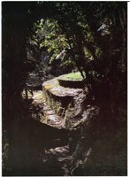 Terraza arqueolgica del asentamiento Tayrona conocido como Ciudad Perdida o Buritaca 200.