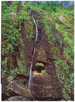 En la serrana de Macuira se encuentra la mayor riqueza hdrica de la Alta Guajira, fenmeno que contrasta con la aridez del desierto.