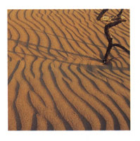 En la serrana de Macuira se encuentra la mayor riqueza hdrica de la Alta Guajira, fenmeno que contrasta con la aridez del desierto.