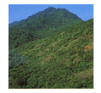 Las cumbres ms altas del Santuario de Fauna Y Flora de Los Colorados.