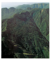 El surgimiento de la serrana del Perij ocurri en una poca anterior a la de la cordillera Occidental de Colombia; Su relieve contiene colinas y terrazas disectadas por profundos caones.