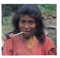 Entre las comunidades aborgenes que an subsisten en la serrana se encuentran los Yuko-yukpas, vedaderos pigmeos pertenecientes a la familia lingstica Karibe.