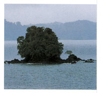 La regin es una de las ms lluviosas del planeta; tiene un promedio de 300 das de lluvia al ao y una precipitacin media de 7.000 mm.