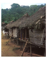 La regin est actualmente habitada por indgenas, negros y mestizos que han adaptado sus formas de vida a las caractersticas climticas de la selva ms hmeda del planeta, donde han creado una tradicin cultural propia.