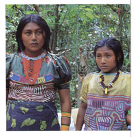 Desde hace muchos siglos el Darin ha sido lugar de habitacin de muchos grupos indgenas; en la actualidad se encuentran all las etnias Cuna y Embera que comparten el hbitat con grupos afroamericanos y algunos colonos.