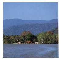 Aspecto de la serrana del Darin-San Blas en el sector del Urab antioqueo.