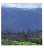 San Lucas se considera un refugio y centro de especiacin bilgica de origen pleistocnico.