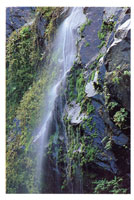 La serrana an conserva una importante cobertura vegetal, a pesar de estar en el centro del pas, lo cual le confiere una funcin autoreguladora en materia de recursos hdricos.