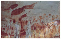 Pictografa con elementos zoomorfos y fitomorfos que representan escnas prehistricas de la relacin hombre- medio natural, en las selvas amaznicas colombianas.