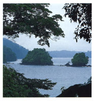 Estribaciones de la serrana del Baud - Los Saltos. El pas es un refugio biolgico que ha servido de puente para el intercambio gentico entre Norte y Suramrica.