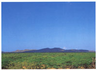 Serrana de Macuira en la Alta Guajira.