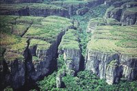 Formaciones rocosas en los tepuyes de la serrana de Chiribiquete.