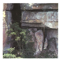 Estratos geolgicos de Chiribiquete, pertenecientes a la formacin Roraima, la ms antigua del continente.