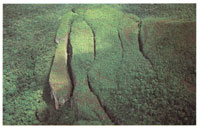 Los topes del tepuy son generalmente cortados por profundas grietas que siguen un patrn estructural de fracturamiento.