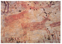 En la serrana de Chiribiquete existe un riqusimo conjunto de pictografas; en ellas sobresalen las escenas de caza que representan con increble realismo venados coliblancos, propios de los ecosistemas circundantes de sabana.