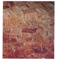 Hasta ahora se han encontrado en los abrigos rocosos, ms de mil dibujos que representan elementos de la fauna y la flora rodeados por diversas escenas de caza.