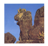 La Ciudad de Piedra, extrordinaria formacin esculpida por el agua y el viento.