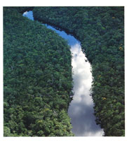 Las aguas negras caractersticas de las dos serranas son extremadamente pobres en nutrientes  y en elementos biticos.